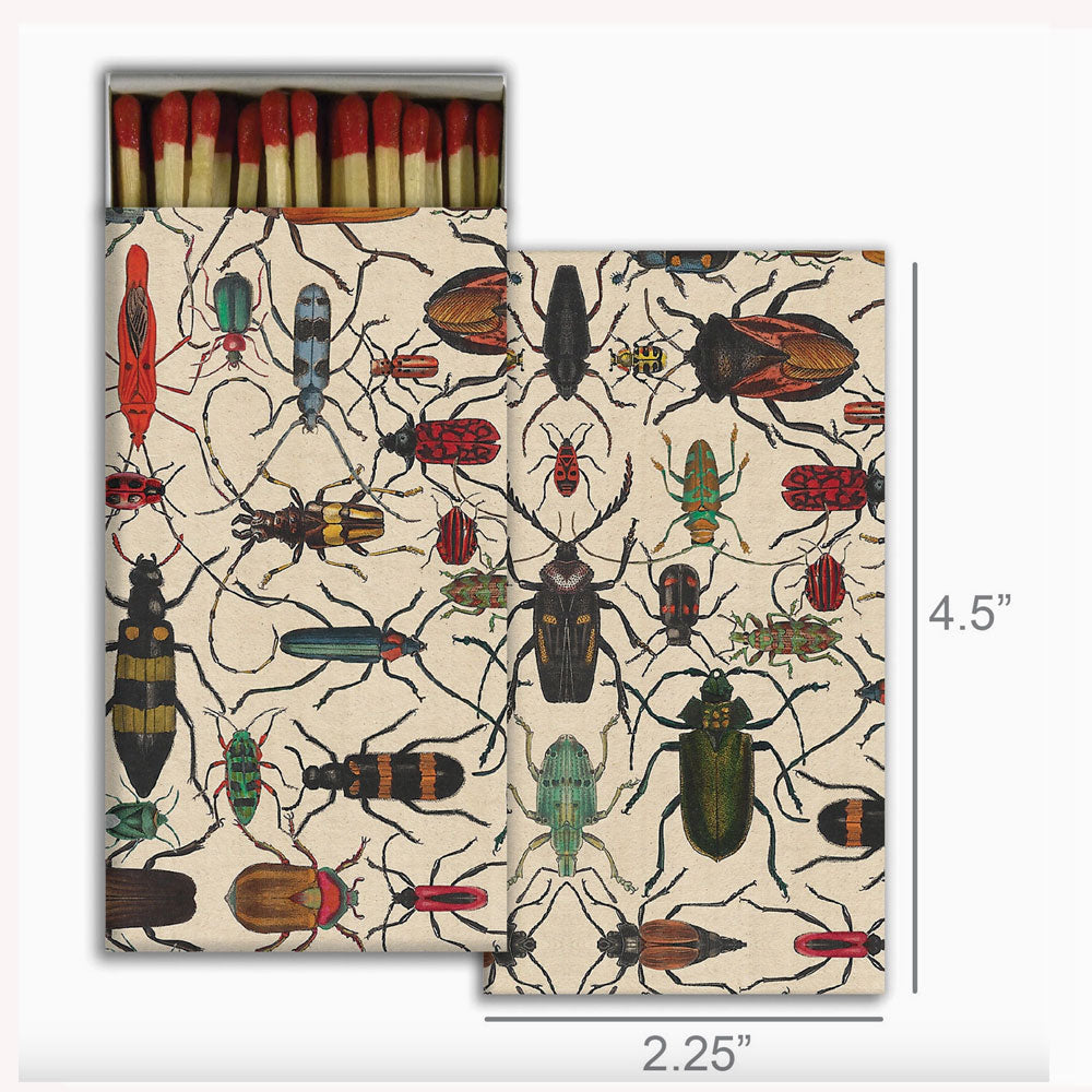 Mixed Beetles match box