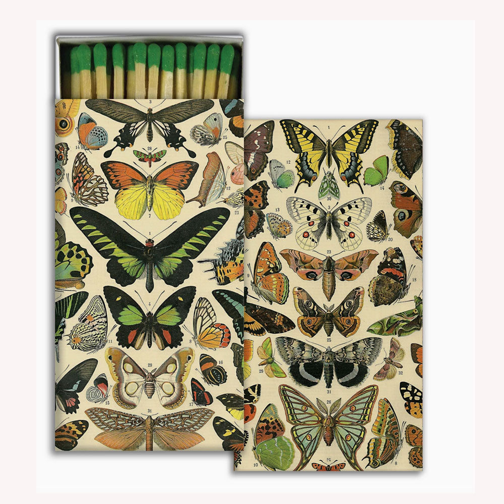 Butterfly Specimens match box