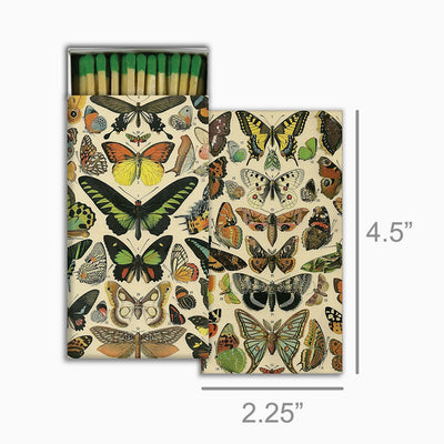 Butterfly Specimens match box